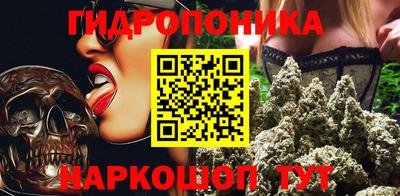 крисы Ливны