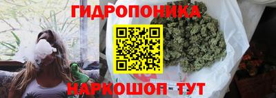 ПСИЛОЦИБИНОВЫЕ ГРИБЫ Заводоуковск