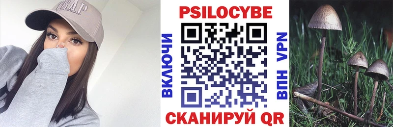 Псилоцибиновые грибы мицелий  блэк спрут сайт  Миллерово  закладка 