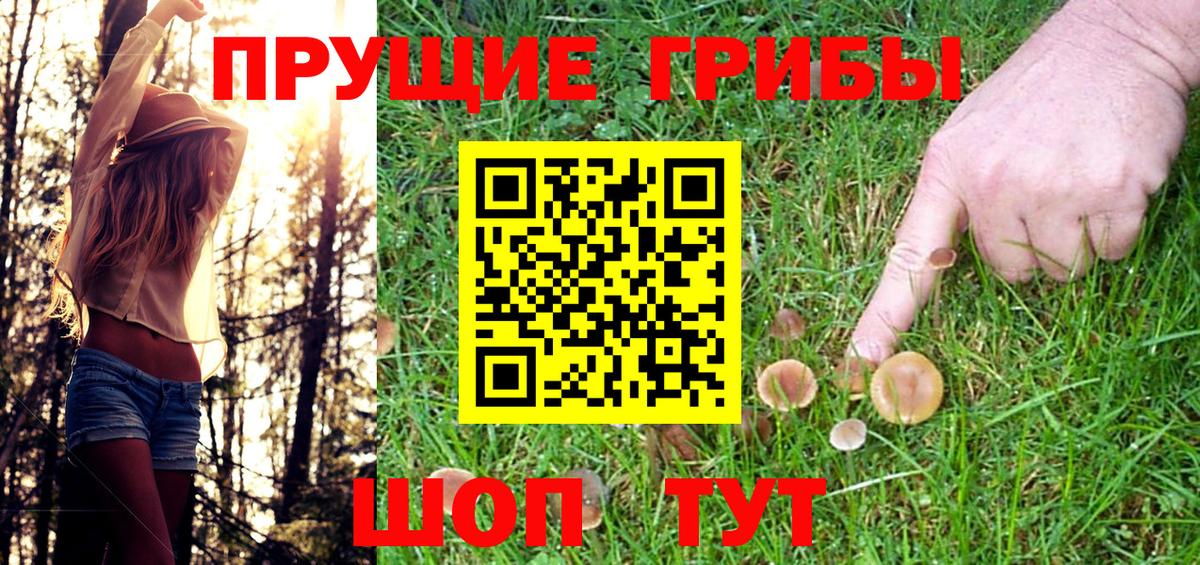 Псилоцибиновые грибы Psilocybine cubensis Миллерово