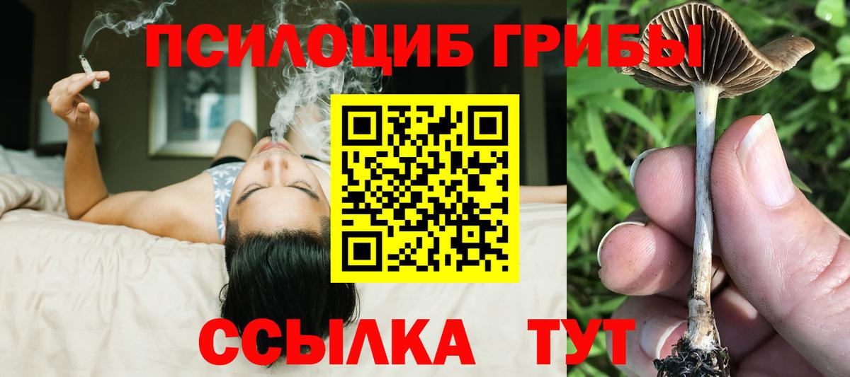 Галлюциногенные грибы Psilocybe  Вход с VPN  Миллерово  Галлюциногенные грибы Magic Shrooms 